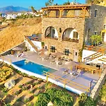 Papa *